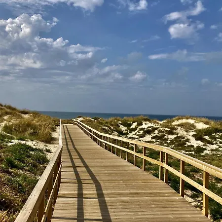 Apartman 37 - Driftwood Ocean *