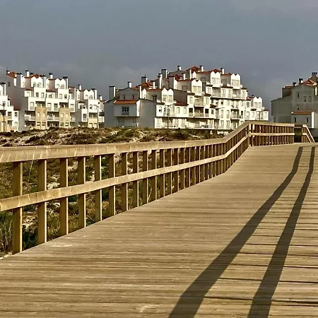 37 - Driftwood Ocean * Peniche