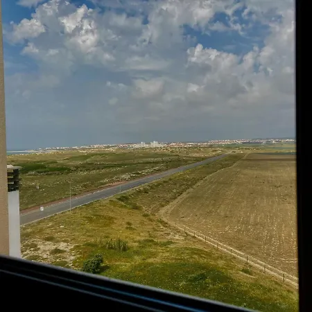 37 - Driftwood Ocean