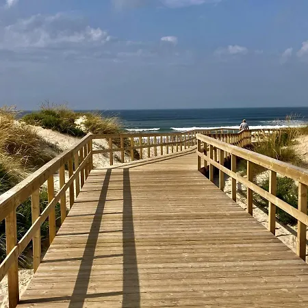 37 - Driftwood Ocean Peniche