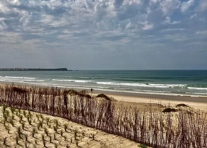 דירה 37 - Driftwood Ocean פניש