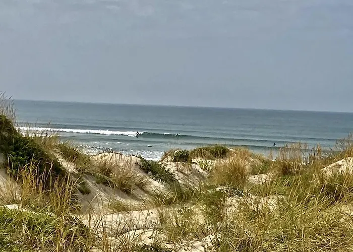 37 - Driftwood Ocean דירה