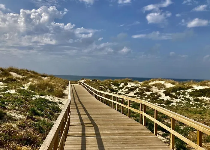 דירה 37 - Driftwood Ocean *